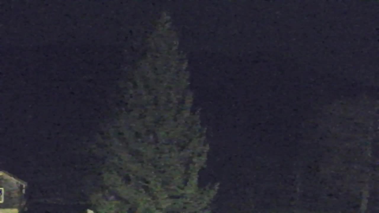 Webcam Lokve – Die Schönheit des Trnovo-Waldes