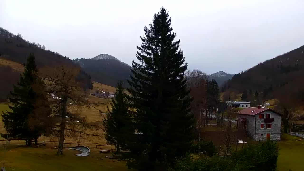 Webcam Lokve – The beauty of the Trnovo forest