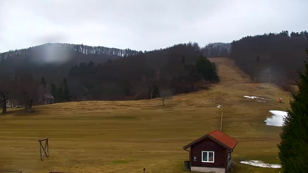 Webcam Loqua / Lokve – La bellezza della selva di Tarnova