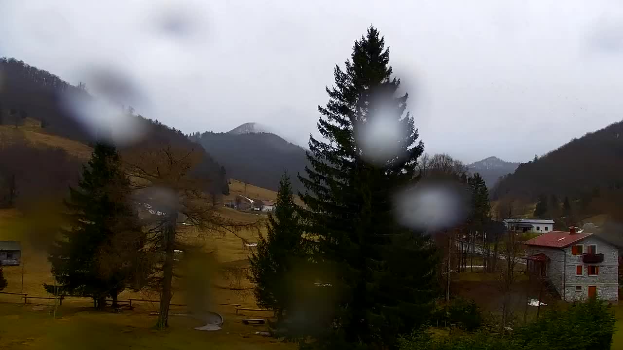 Web kamera Lokve – Ljepota Trnovske šume