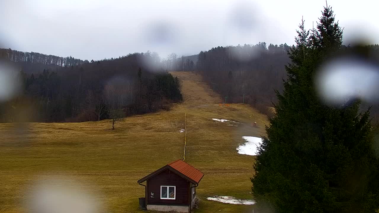 Web kamera Lokve – Ljepota Trnovske šume