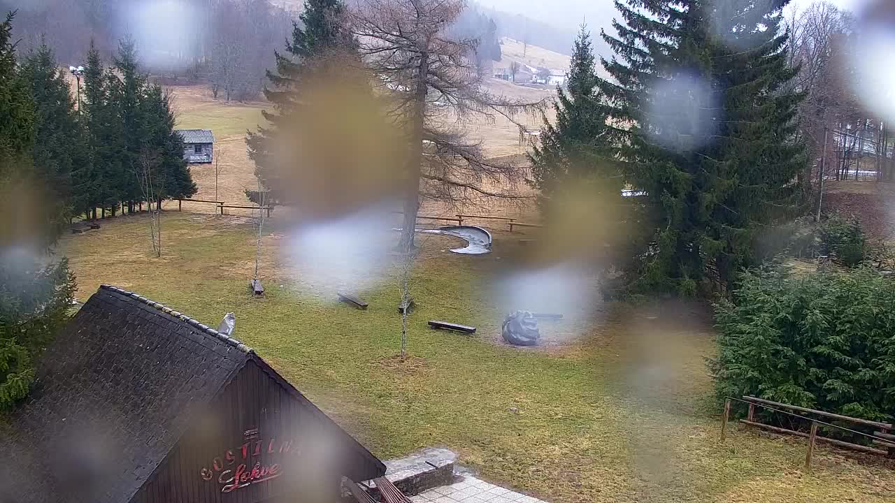 Webcam Lokve – Die Schönheit des Trnovo-Waldes