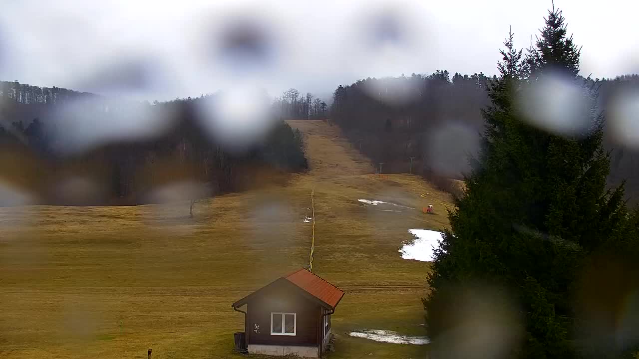 Webcam Lokve – Die Schönheit des Trnovo-Waldes