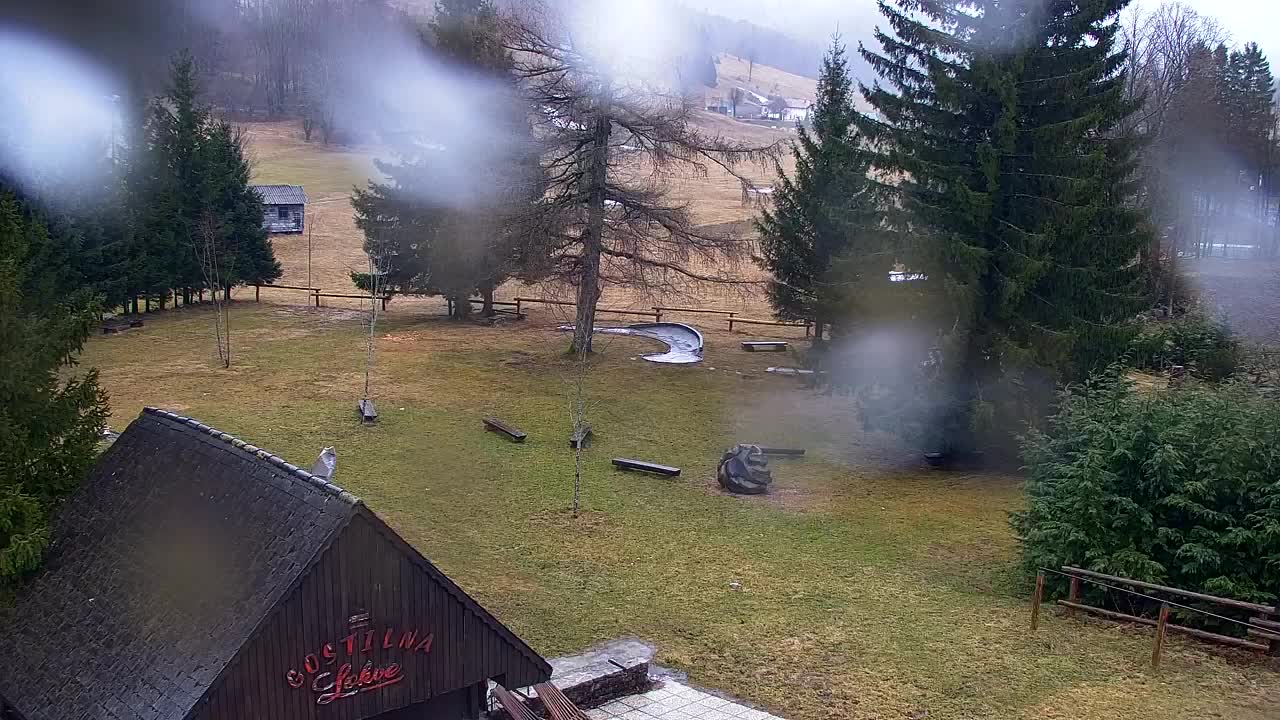 Webcam Lokve – La beauté de la forêt de Trnovo