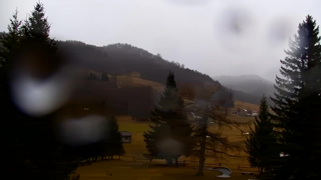 Camera en vivo Lokve – La belleza del bosque de Trnovo