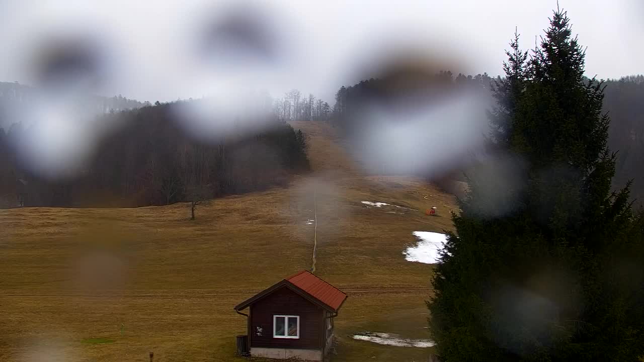 Webcam Lokve – The beauty of the Trnovo forest