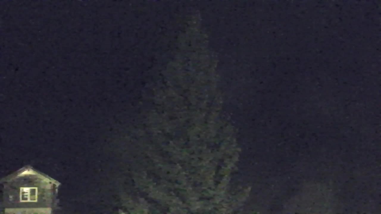 Webcam Lokve – The beauty of the Trnovo forest