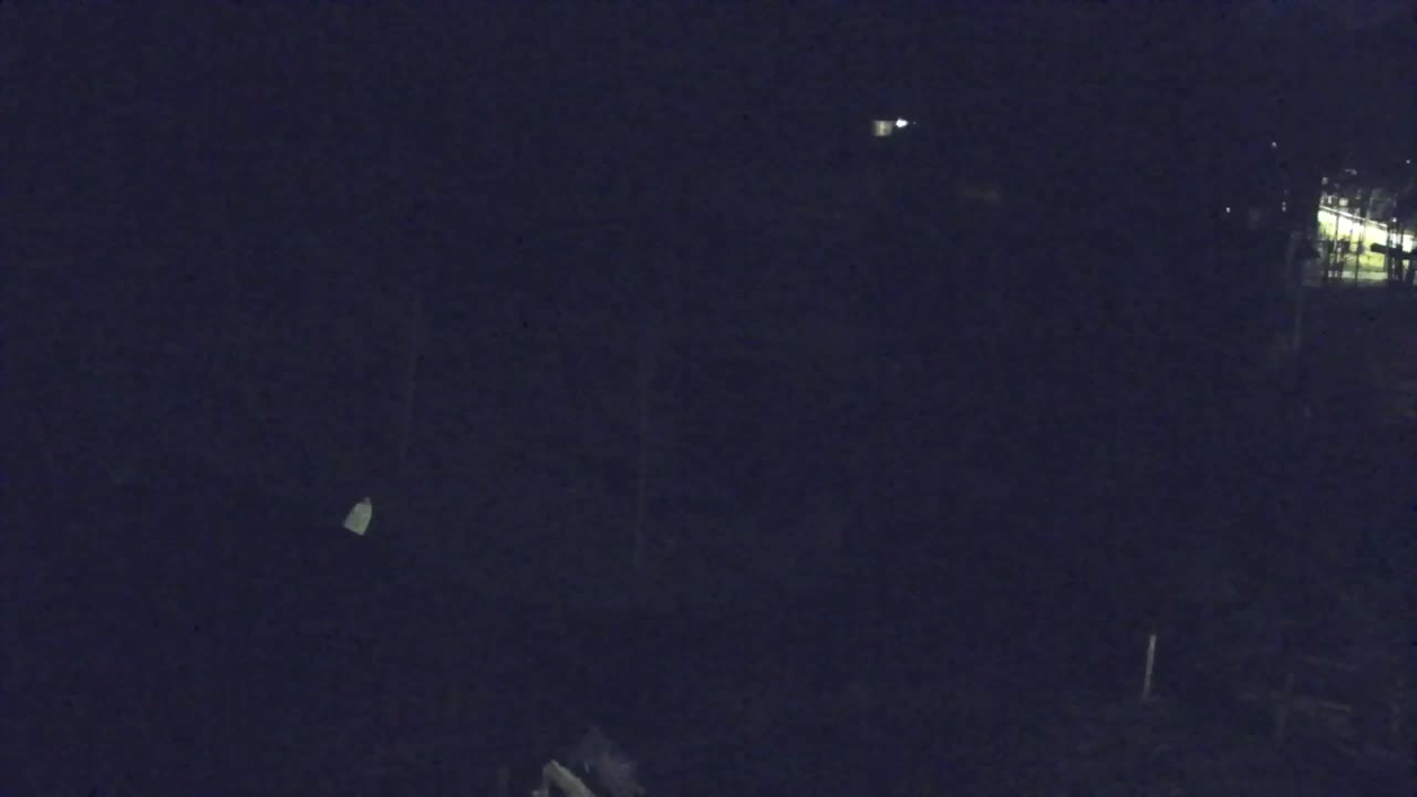 Webcam Lokve – The beauty of the Trnovo forest