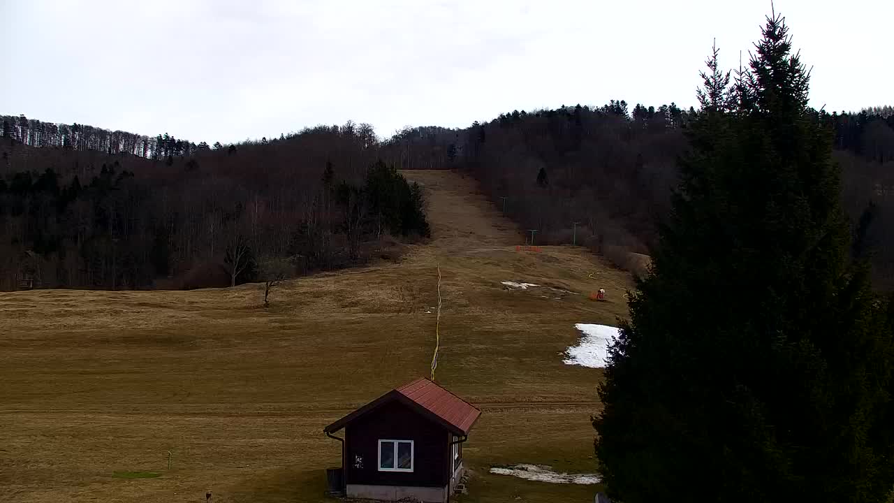 Webcam Lokve – Die Schönheit des Trnovo-Waldes