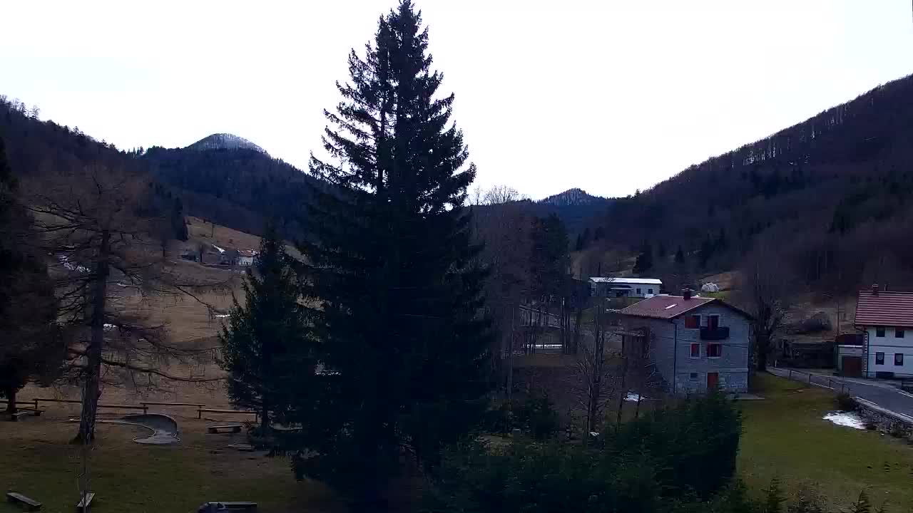 Web kamera Lokve – Ljepota Trnovske šume