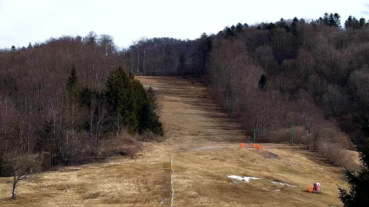 Webcam Lokve – Die Schönheit des Trnovo-Waldes