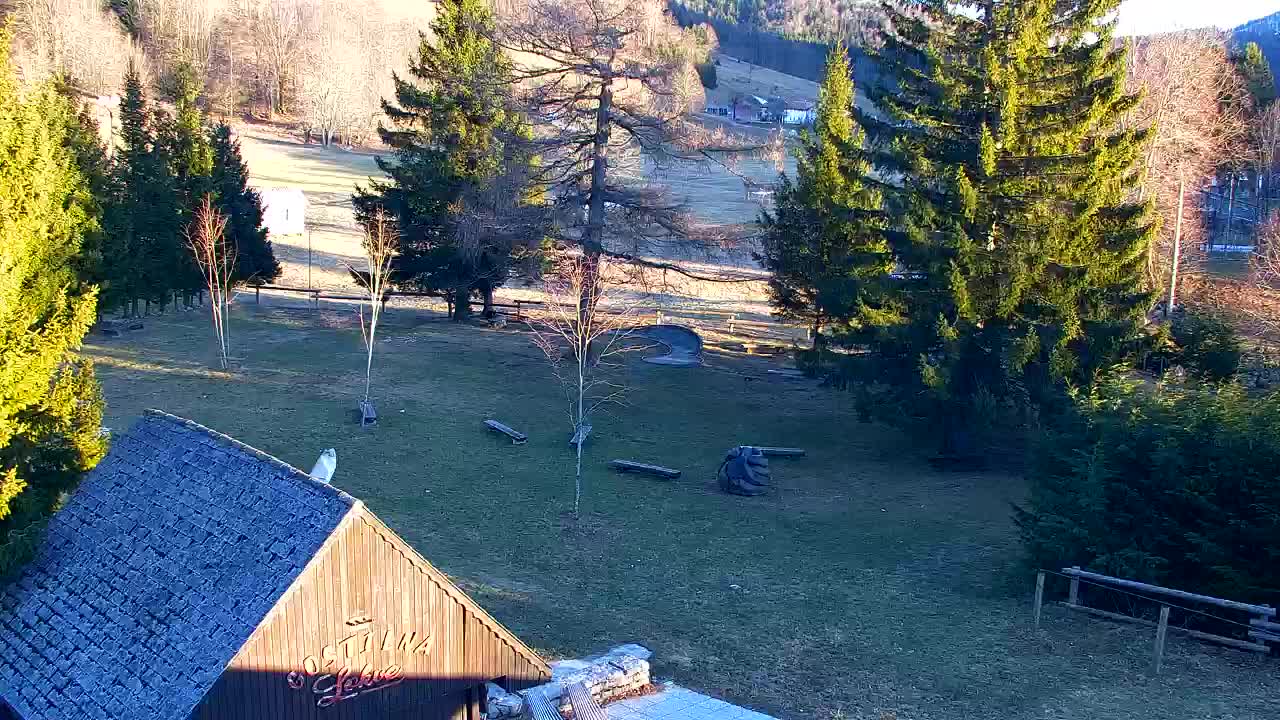 Lokve kamera – Naravne lepote Trnovskega gozda