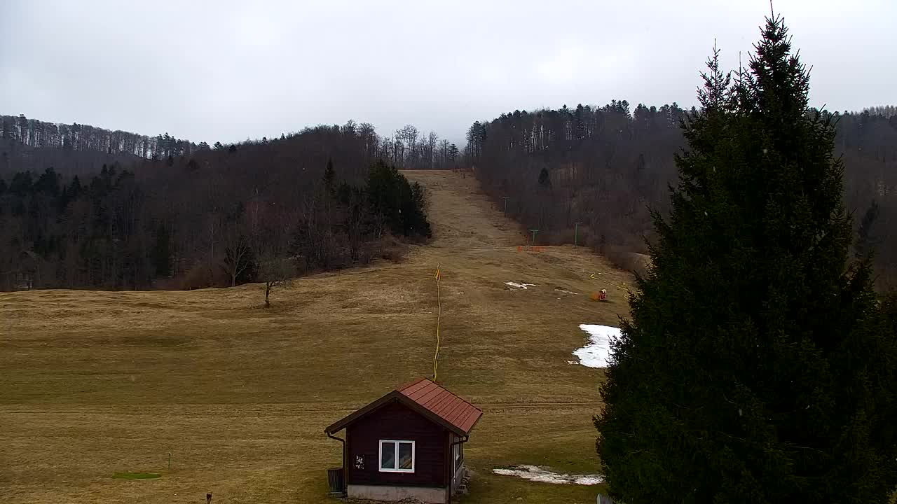 Web kamera Lokve – Ljepota Trnovske šume