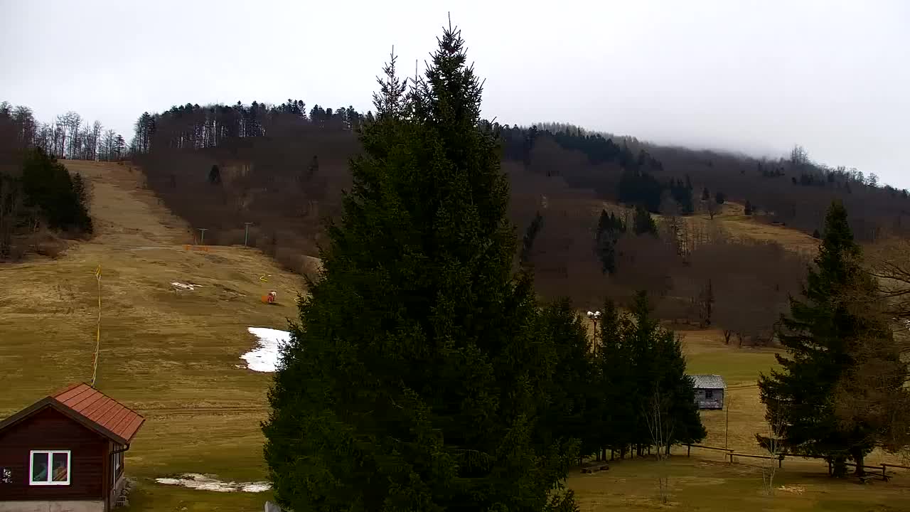 Lokve kamera – Naravne lepote Trnovskega gozda