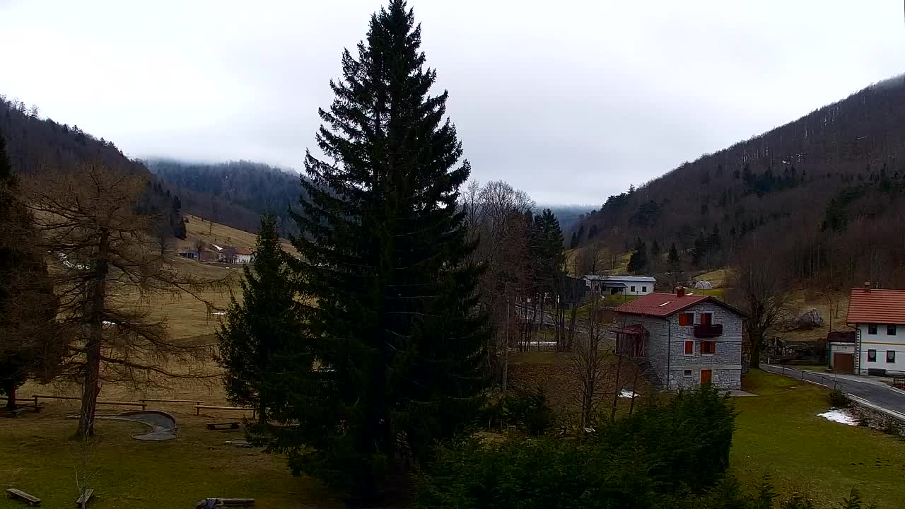 Webcam Lokve – La beauté de la forêt de Trnovo