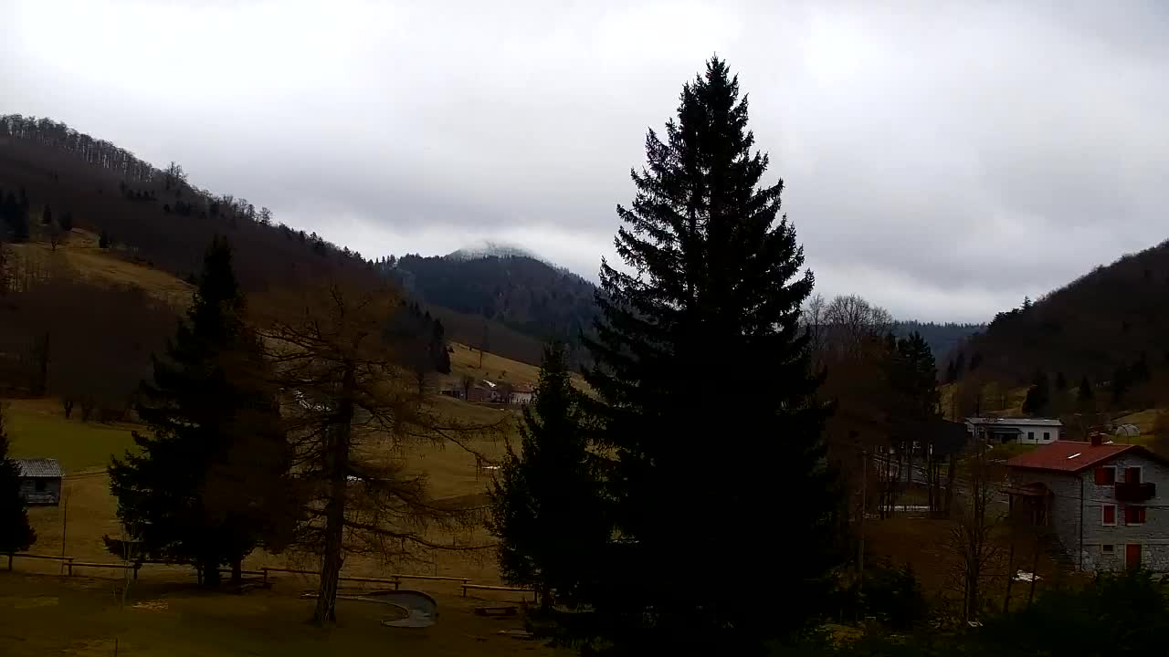 Webcam Lokve – Die Schönheit des Trnovo-Waldes