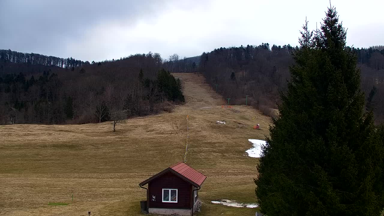 Webcam Lokve – The beauty of the Trnovo forest