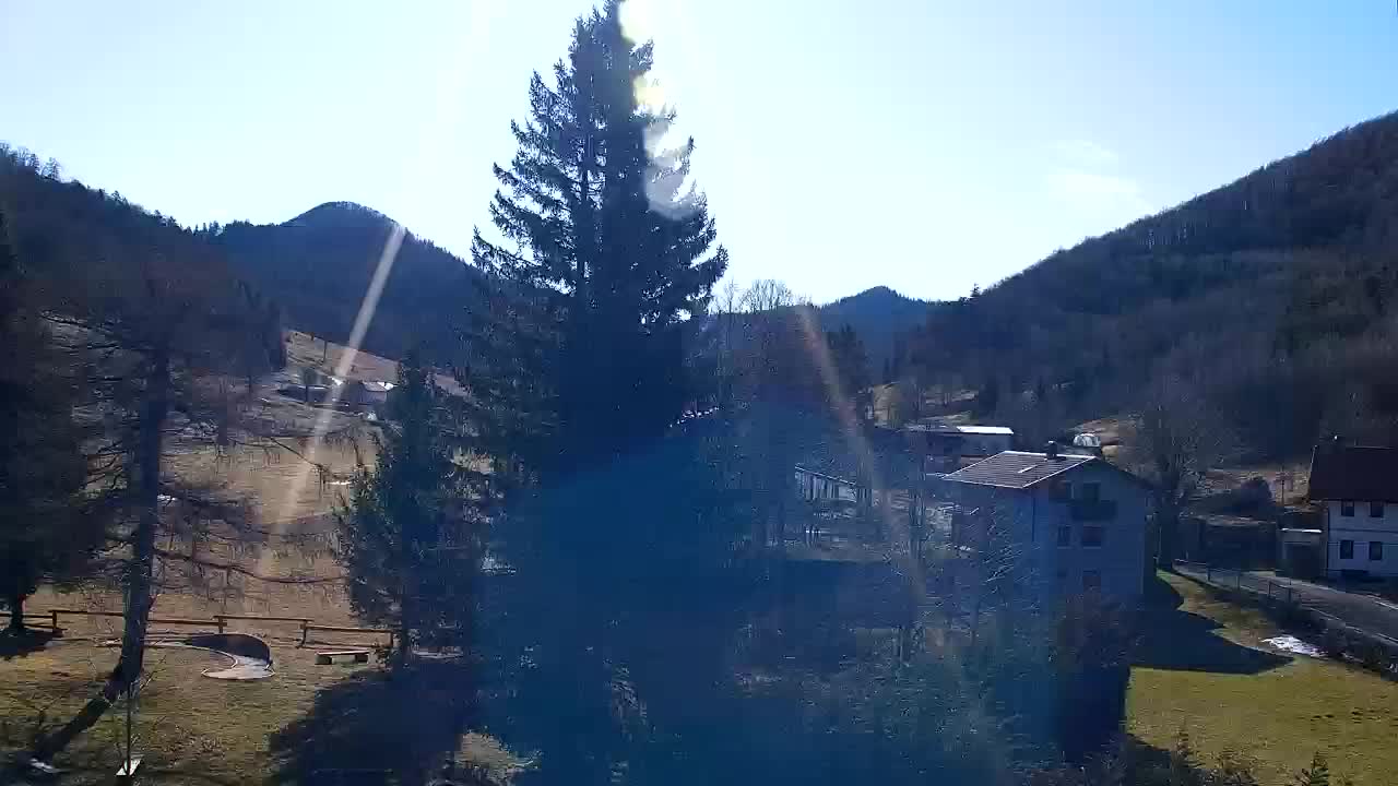 Webcam Loqua / Lokve – La bellezza della selva di Tarnova