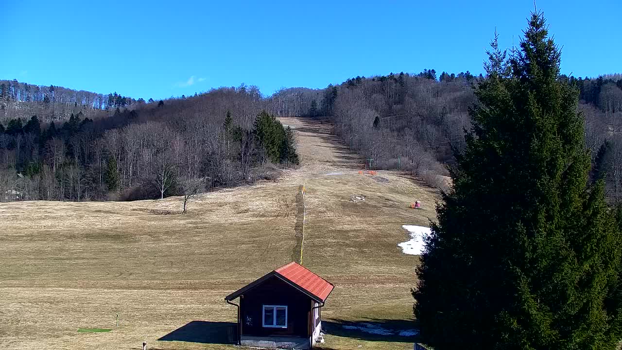 Webcam Lokve – La beauté de la forêt de Trnovo