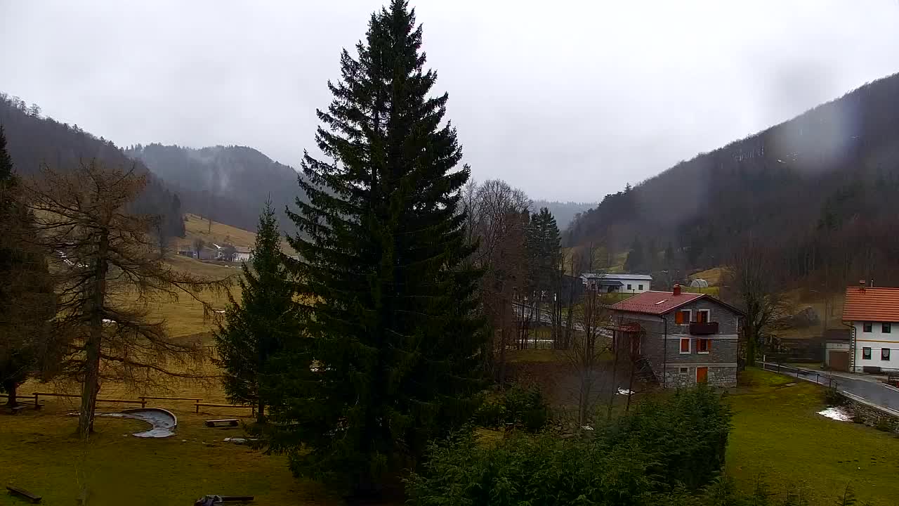 Web kamera Lokve – Ljepota Trnovske šume