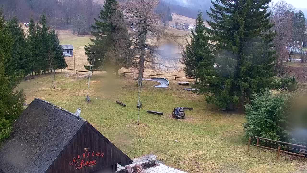 Web kamera Lokve – Ljepota Trnovske šume