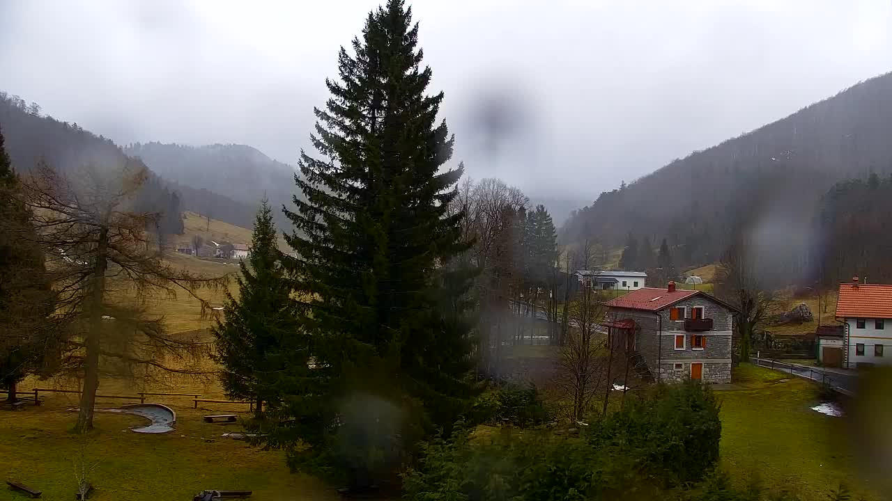 Webcam Lokve – Die Schönheit des Trnovo-Waldes