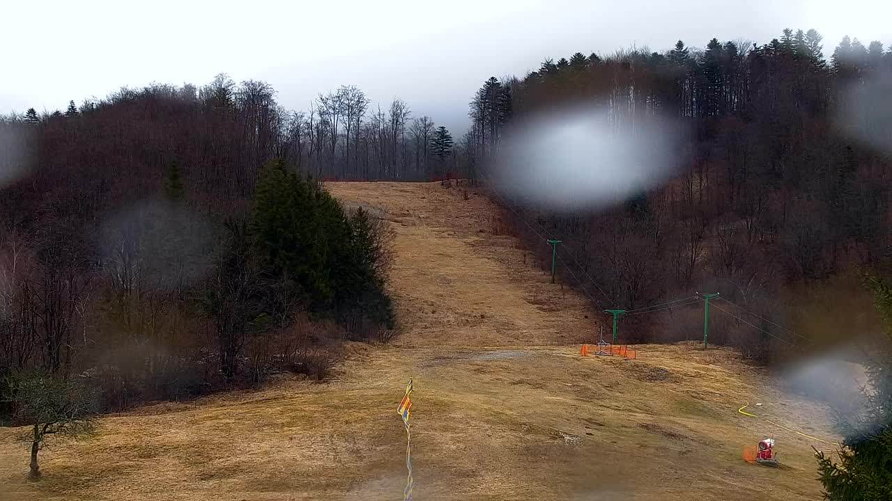 Web kamera Lokve – Ljepota Trnovske šume