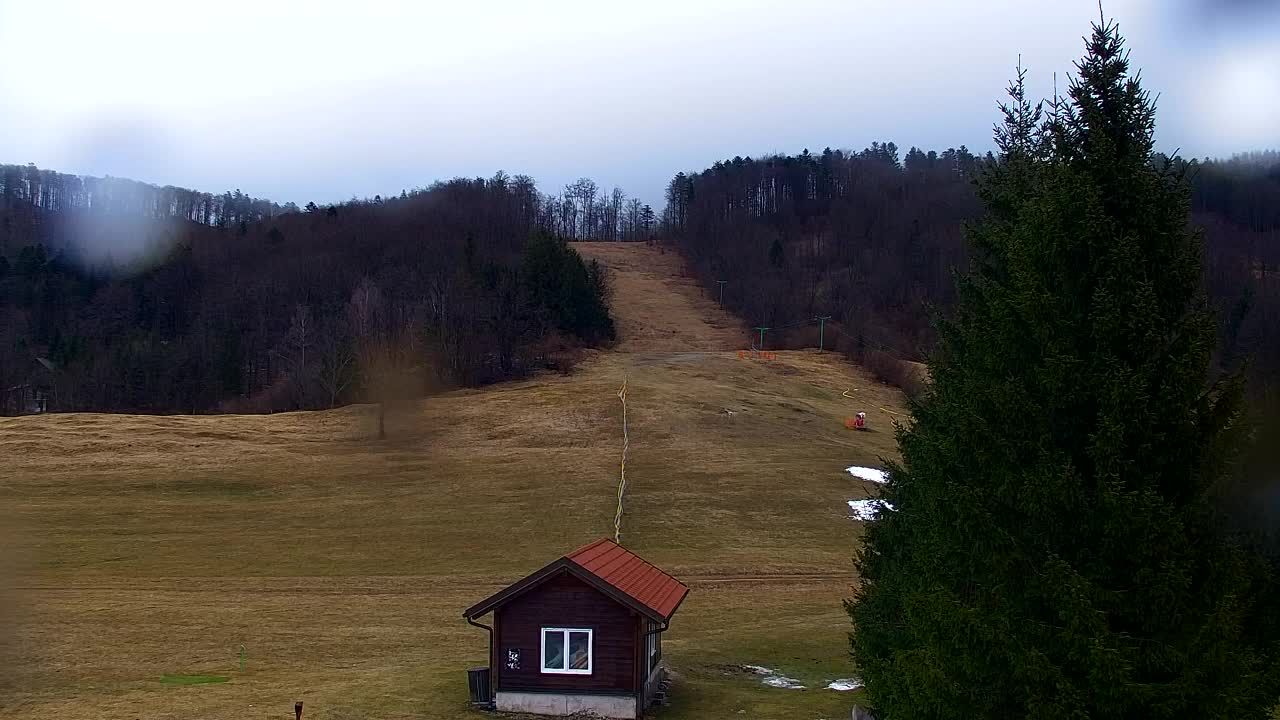 Webcam Loqua / Lokve – La bellezza della selva di Tarnova