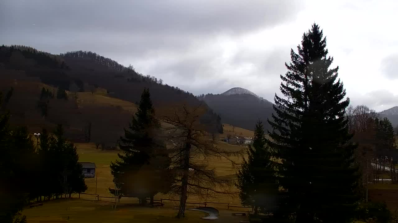 Webcam Lokve – La beauté de la forêt de Trnovo