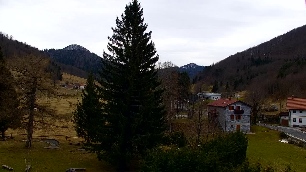 Webcam Lokve – La beauté de la forêt de Trnovo