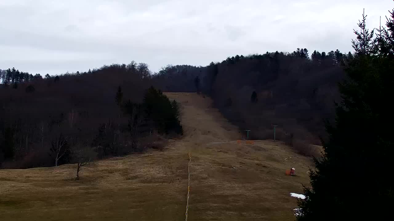 Webcam Lokve – Die Schönheit des Trnovo-Waldes