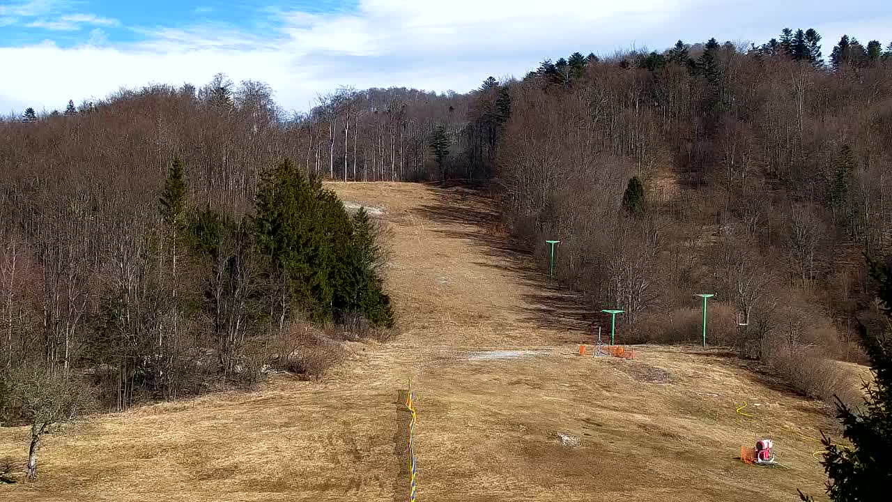 Webcam Lokve – La beauté de la forêt de Trnovo