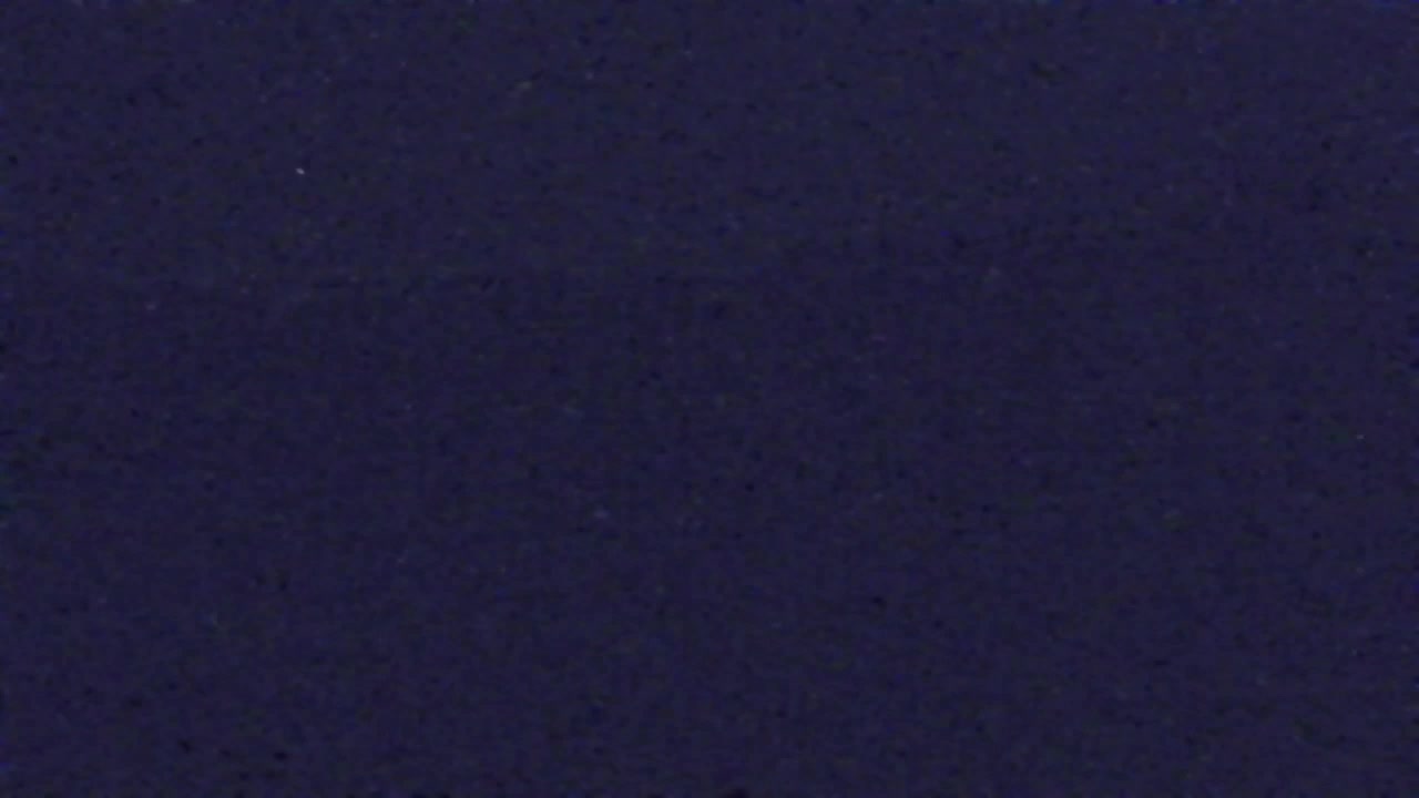 Webcam Lokve – The beauty of the Trnovo forest