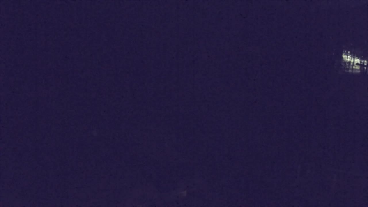 Webcam Lokve – Die Schönheit des Trnovo-Waldes