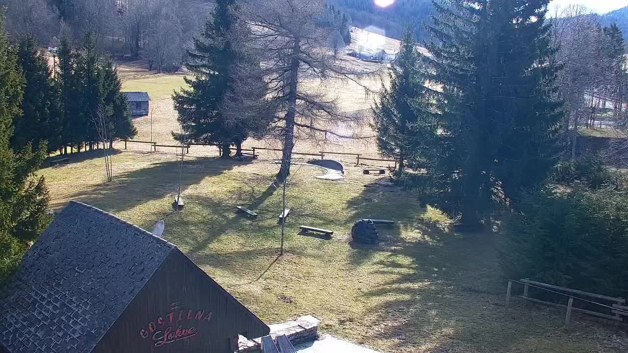 Webcam Loqua / Lokve – La bellezza della selva di Tarnova