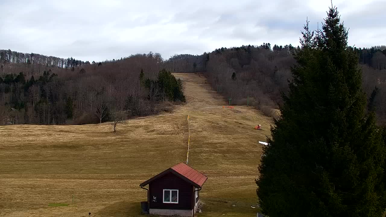 Lokve kamera – Naravne lepote Trnovskega gozda