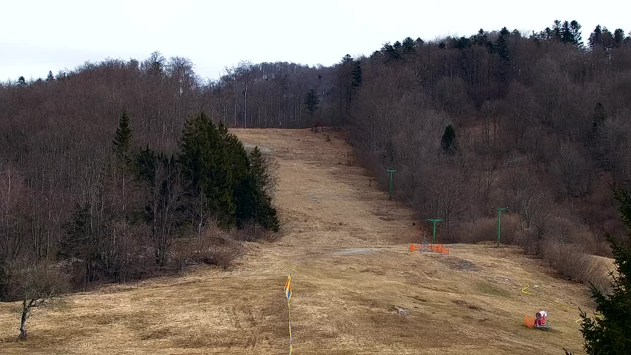 Webcam Lokve – The beauty of the Trnovo forest