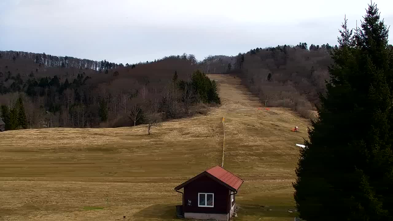 Webcam Lokve – The beauty of the Trnovo forest