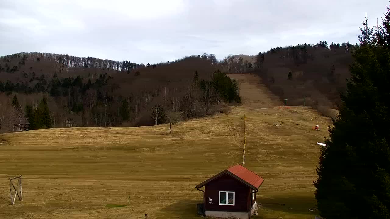 Webcam Lokve – La beauté de la forêt de Trnovo