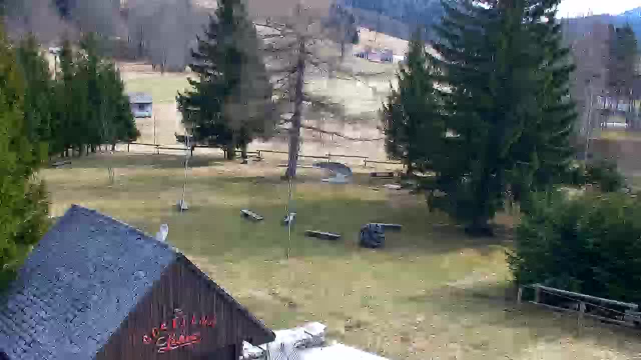 Webcam Loqua / Lokve – La bellezza della selva di Tarnova