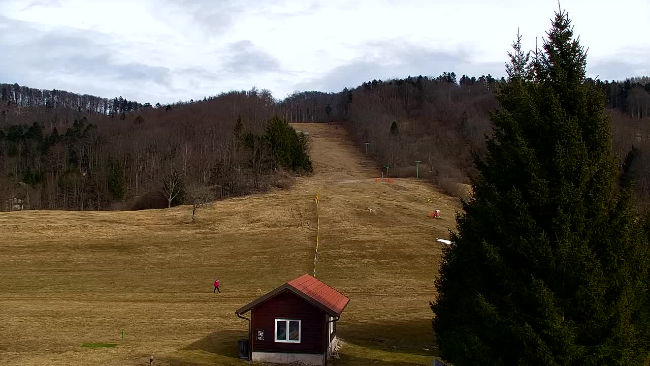 Webcam Lokve – The beauty of the Trnovo forest