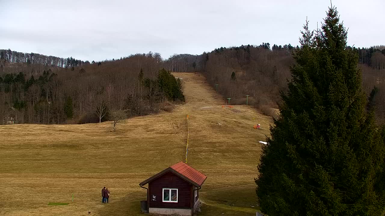 Webcam Lokve – The beauty of the Trnovo forest