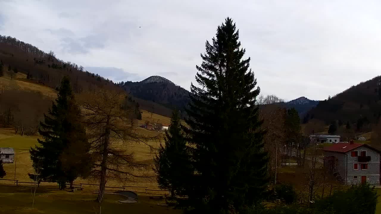 Webcam Lokve – Die Schönheit des Trnovo-Waldes