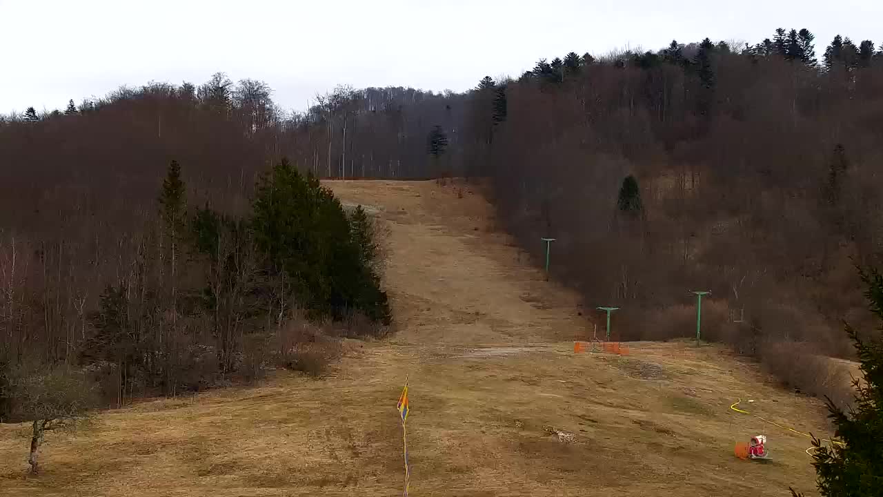 Webcam Lokve – Die Schönheit des Trnovo-Waldes