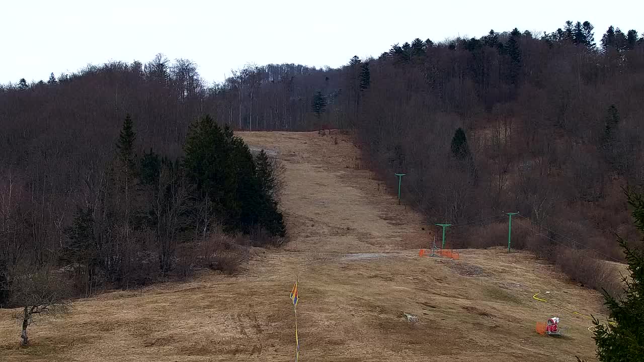 Webcam Loqua / Lokve – La bellezza della selva di Tarnova