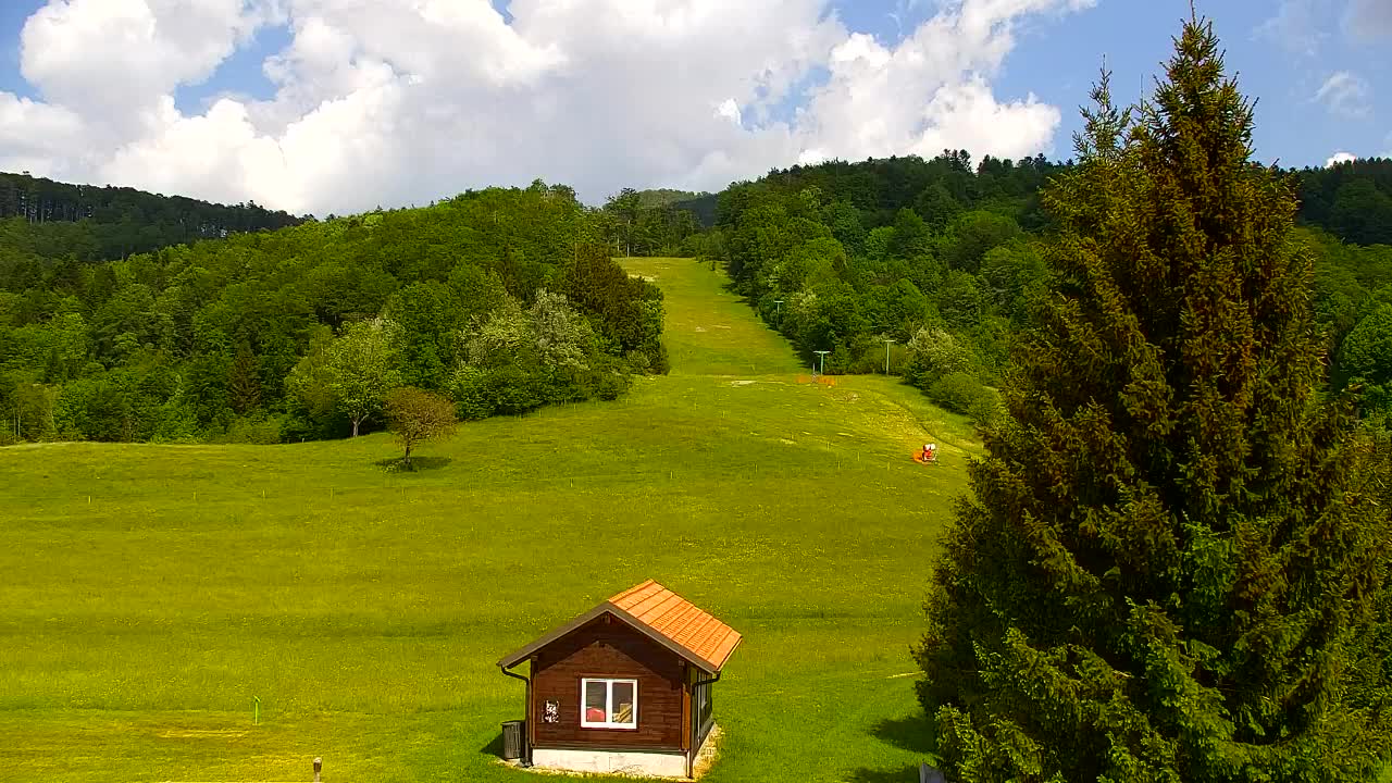 Webcam Lokve – La beauté de la forêt de Trnovo
