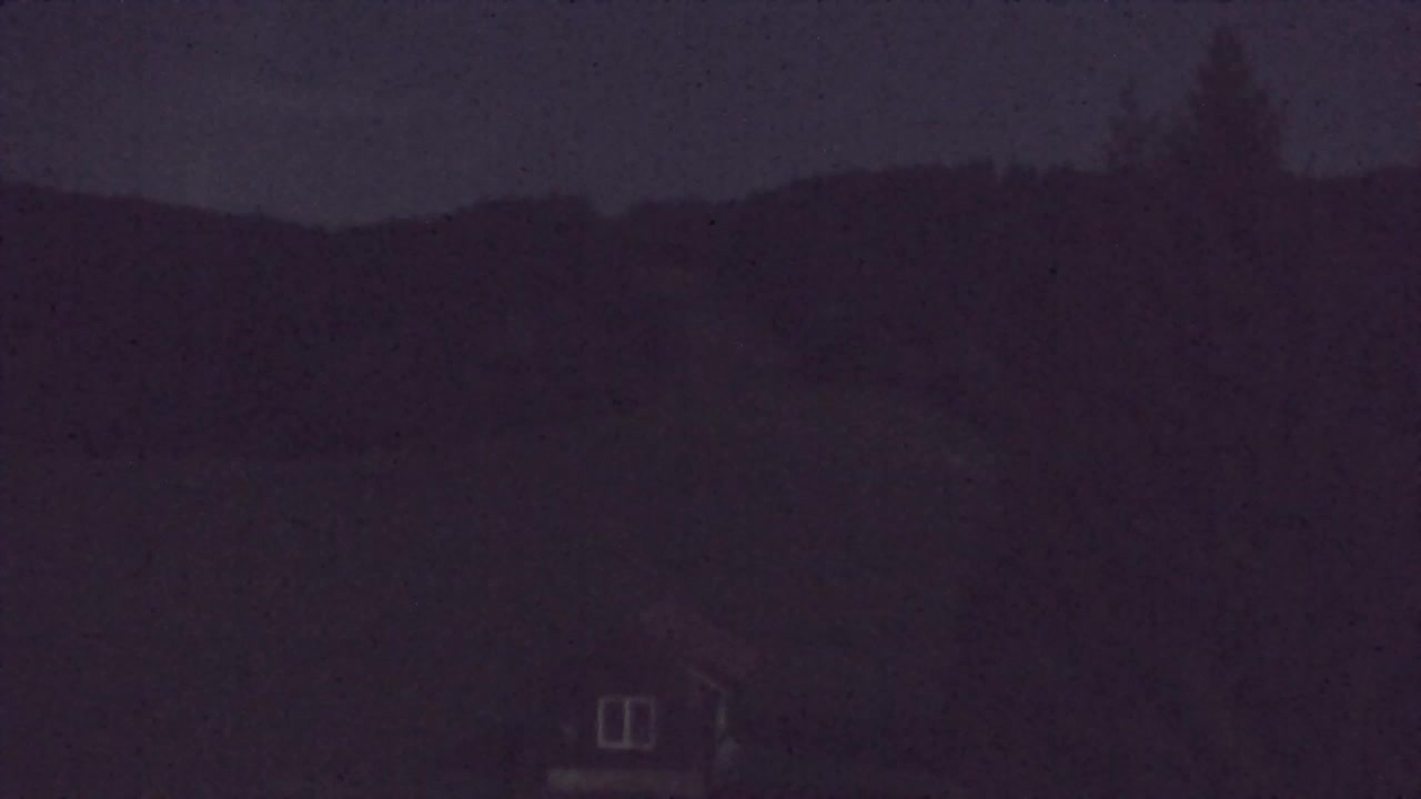 Webcam Lokve – The beauty of the Trnovo forest