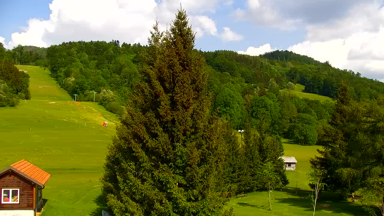 Webcam Lokve – La beauté de la forêt de Trnovo