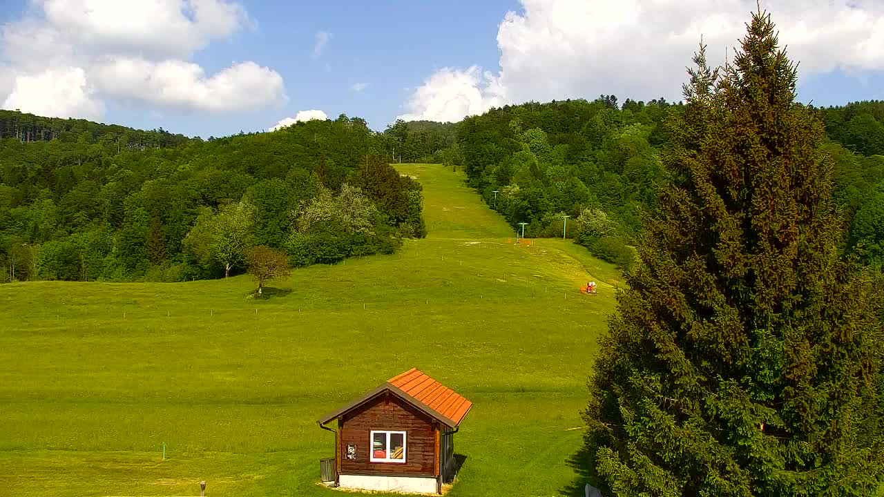 Camera en vivo Lokve – La belleza del bosque de Trnovo