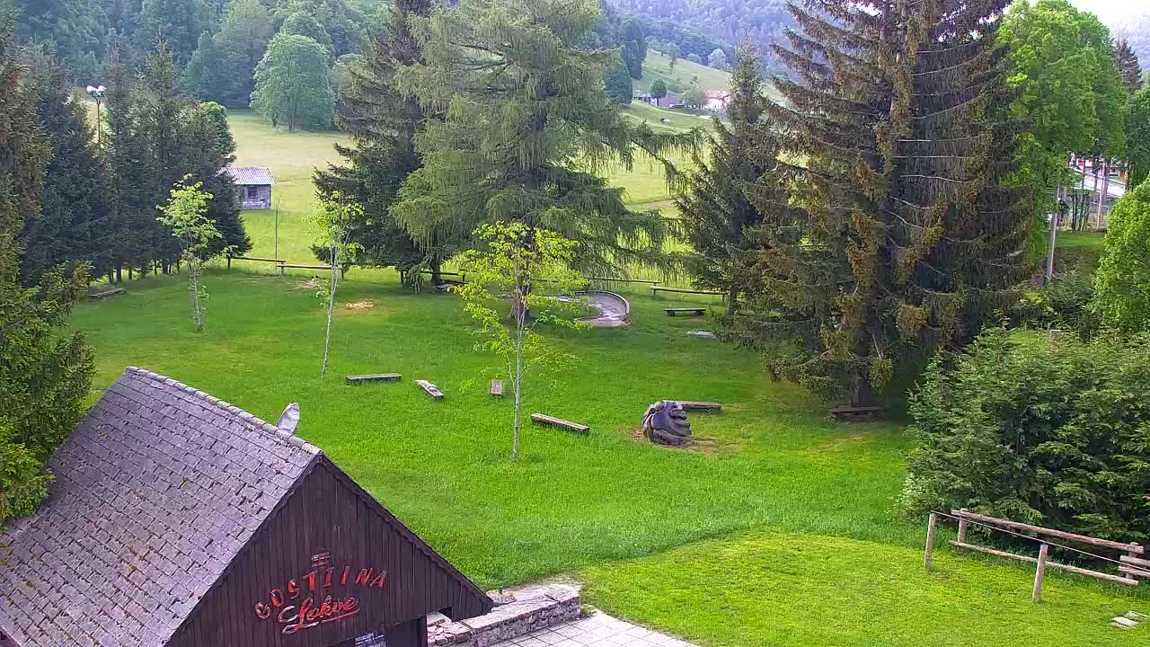 Webcam Lokve – La beauté de la forêt de Trnovo